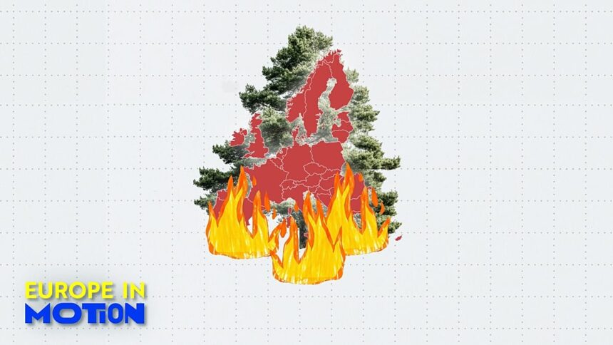 Wildfires: Burned area across Europe reaches size of Luxembourg