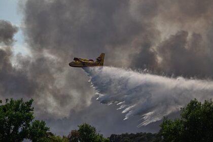 Fontainebleau fire still burning as 850 firefighters tackle blaze