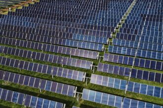 Why is Europe still wasting clean energy? Take our poll