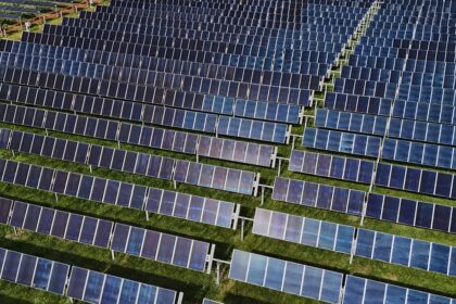 Why is Europe still wasting clean energy? Take our poll