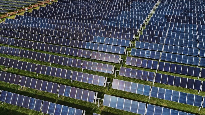 Why is Europe still wasting clean energy? Take our poll