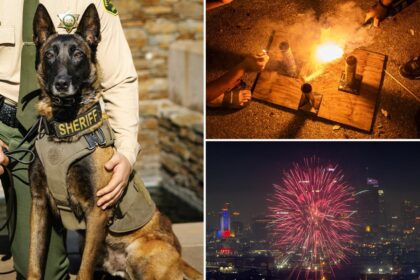 K-9 dies after being hit by car when illegal fireworks erupted in California