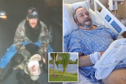 How a Florida senior fought off alligator attack with fishing pole: ‘No gator is going to run me off’