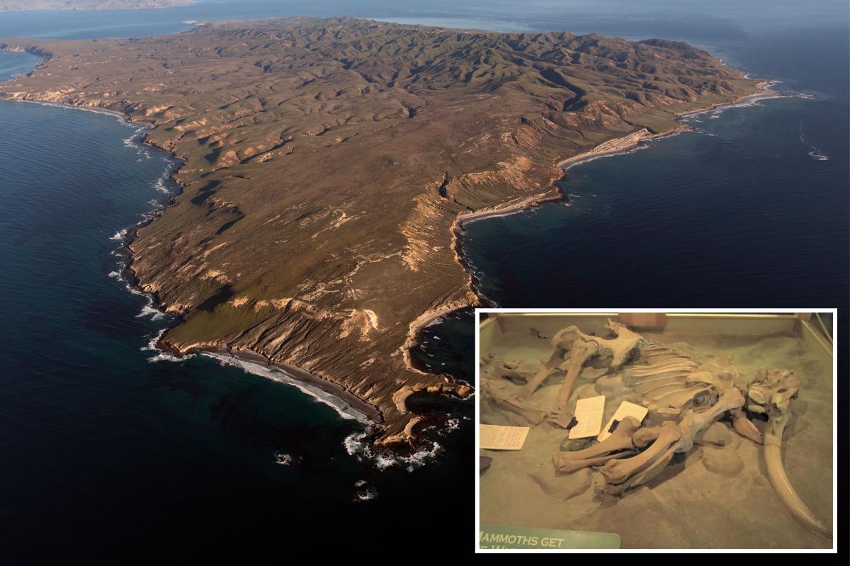 13,000-year-old bones found near SoCal coast could rewrite human history