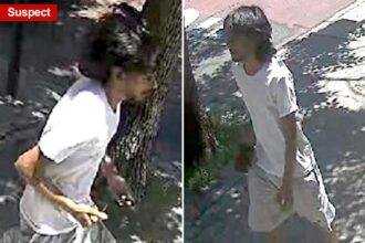 NYC thug violently mugs 89-year-old man of K — and even his  necklace