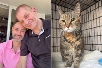Cat survives more than a week trapped inside NYC home that was sealed by cops after owners died unexpectedly