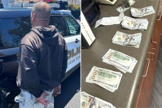 Boneheaded Bay Area burglar busted after snapping selfies during 0K heist