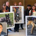 SoCal Dog trainer learns fate for trapping and  killing 11 dogs