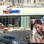PetSmart to close only outpost in San Francisco