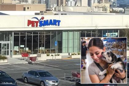 PetSmart to close only outpost in San Francisco