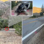 Driver somehow escapes death after plunging 600ft off cliff — but ends up in cuffs anyway