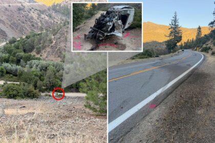 Driver somehow escapes death after plunging 600ft off cliff — but ends up in cuffs anyway