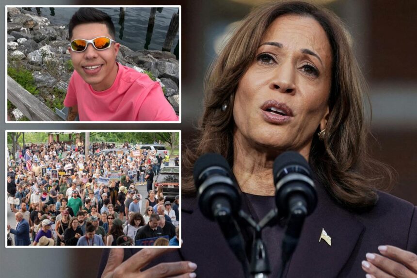 Kamala Harris slams ICE agents for fatally shooting ‘illegal alien’ who allegedly tried to run them over in Maine