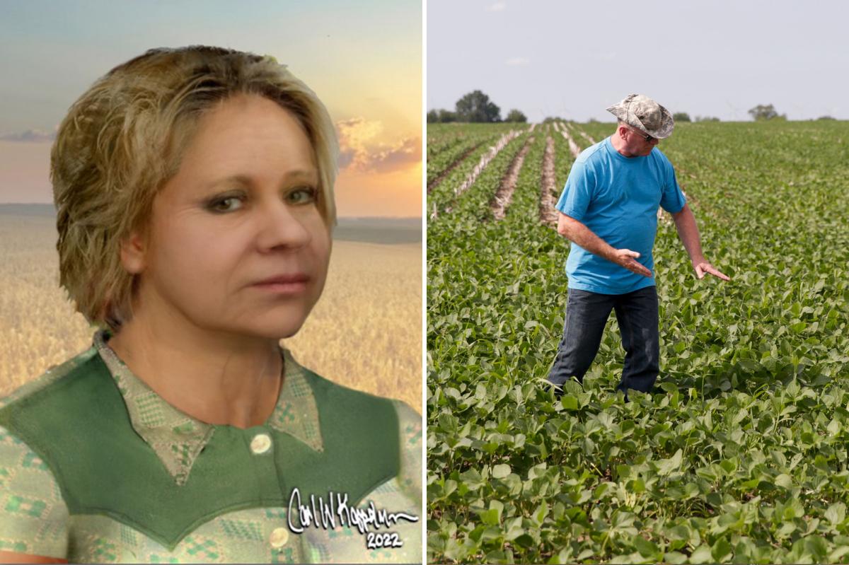 Chicago murder victim identified 50 years after she was found in box in Indiana cornfield
