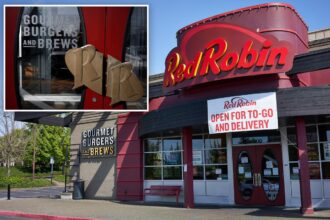 Red Robin trims its flock: Burger chain closes another restaurant in shakeup that could see 50 shuttered