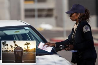 Shocking LA parking-ticket scheme squeezes jaw-dropping sum from drivers