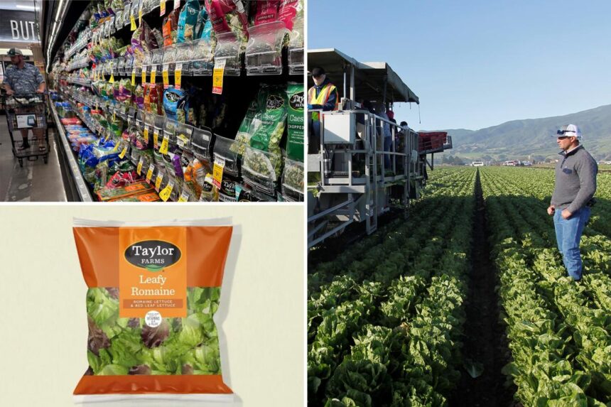 Taylor Farms releases full recall list after ‘explosive diarrhea’ cyclosporiasis outbreak