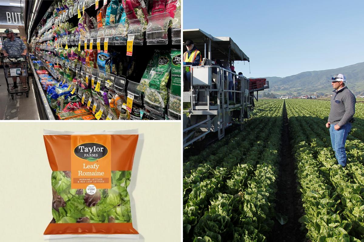 Taylor Farms releases full recall list after ‘explosive diarrhea’ cyclosporiasis outbreak