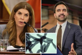 Exclusive | NYC Council Speaker Julie Menin demands answers from Mamdani after deadly Legionnaires’ outbreak