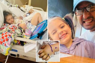 Father’s terrifying warning as 3-year-old is bitten by rattlesnake lurking under Amazon package