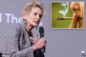 Sharon Stone ‘got sick’ for a month from marijuana withdrawal: ‘They put so much stuff in it’