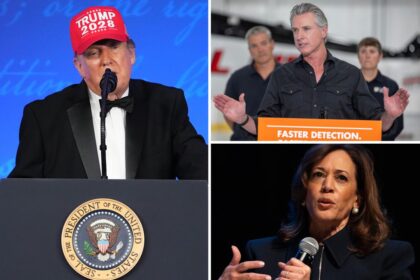 Trump hits Gavin Newsom, Kamala Harris with brutal one-two punch at White House Correspondents’ Association Dinner