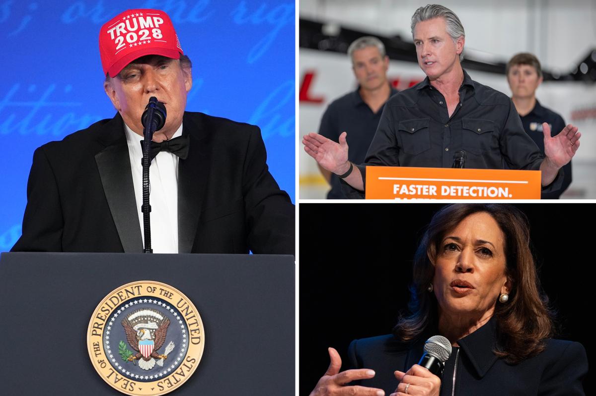 Trump hits Gavin Newsom, Kamala Harris with brutal one-two punch at White House Correspondents’ Association Dinner