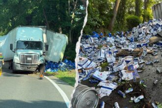 Thousands of beer cans spill across Connecticut highway after tractor-trailer overturns