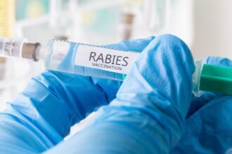 11-year-old dies from rabies after bat landed on his face while he was sleeping
