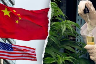 Former acting DHS secretary warns Chinese criminal organizations are infiltrating America’s hemp industry