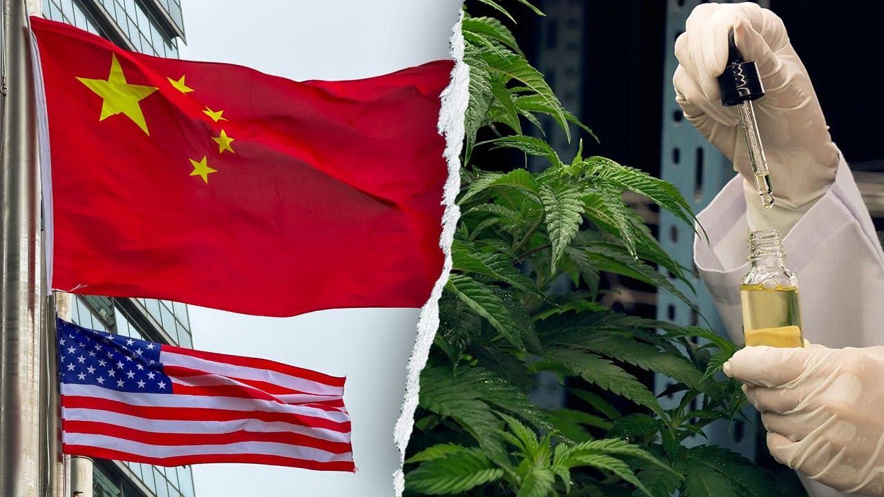 Former acting DHS secretary warns Chinese criminal organizations are infiltrating America’s hemp industry