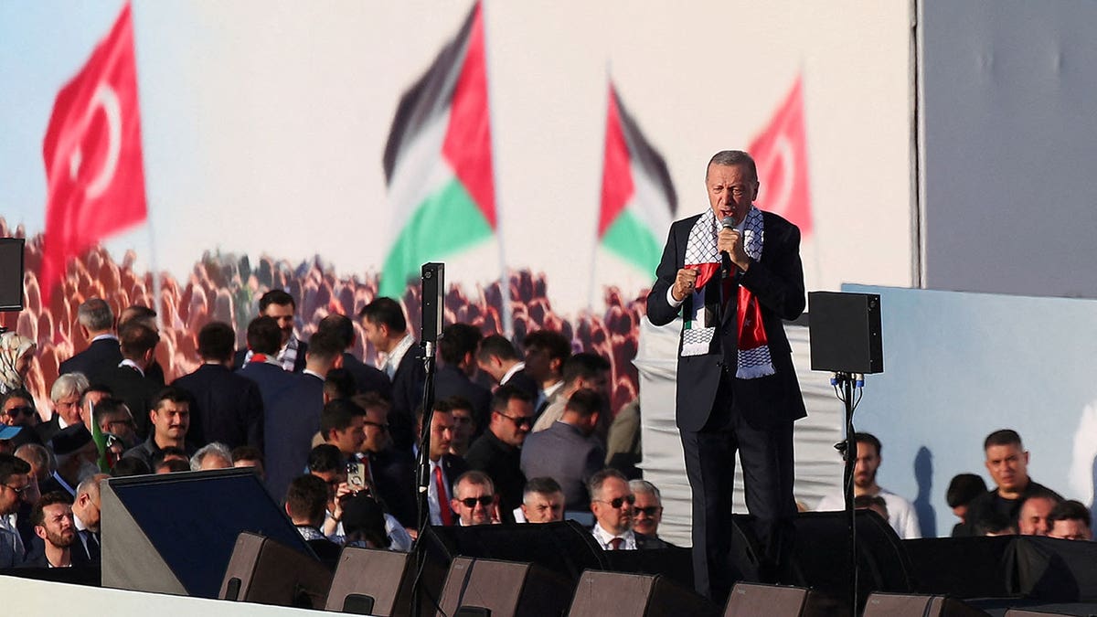 Erdogan Palestinians