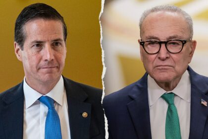 Schumer’s mentor pushed birthright citizenship crackdown. Now Moreno dares Democrats to reject it.