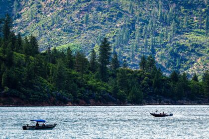US forest service workers kidnapped, ziptied for hours by father-son duo: California AG