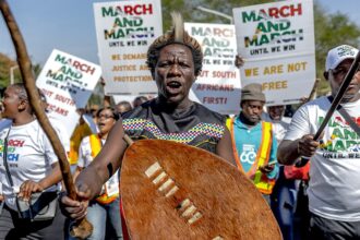 South Africa’s illegal migration backlash mirrors political battles across the West