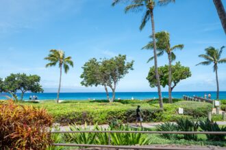 California family members claim they were attacked at luxury Maui resort during violent melee