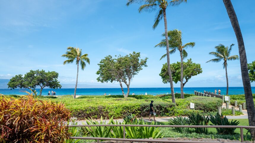 California family members claim they were attacked at luxury Maui resort during violent melee
