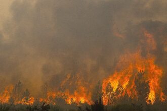 Deadly French wildfires threaten missile plants, nuclear sites as fourth heatwave looms