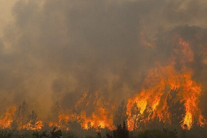 Deadly French wildfires threaten missile plants, nuclear sites as fourth heatwave looms