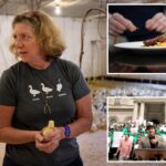 Exclusive | NYC’s foie gras sales ban set for final appeal as farmers look to save their feathers
