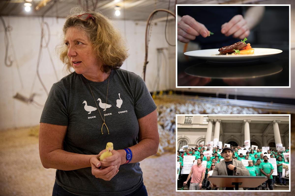 Exclusive | NYC’s foie gras sales ban set for final appeal as farmers look to save their feathers