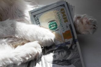 The real cost of being a pet parent in 2026: What you need to know