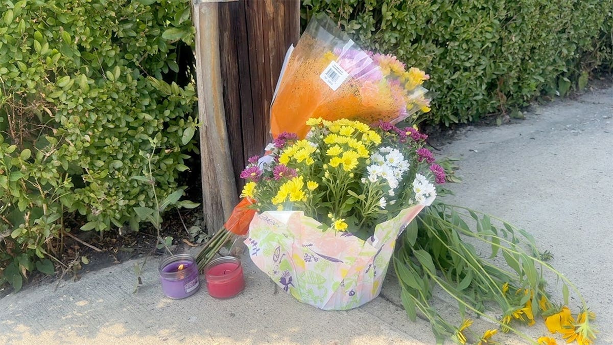 ICE shooting in Maine follows another fatal shooting last week in Houston