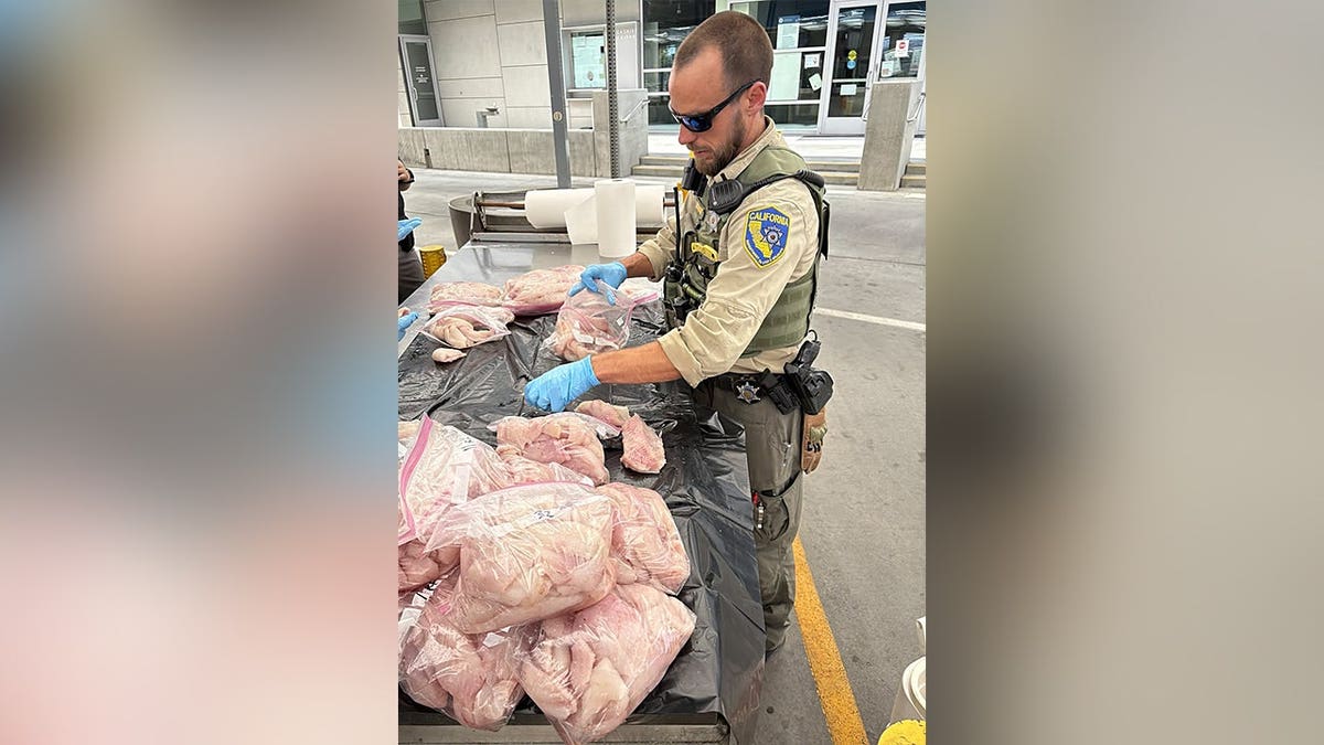 California officer inspects seized fish