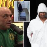 Joe Rogan reveals former podcast guest allegedly ‘cut a guy’s head off’ weeks after interviewing him