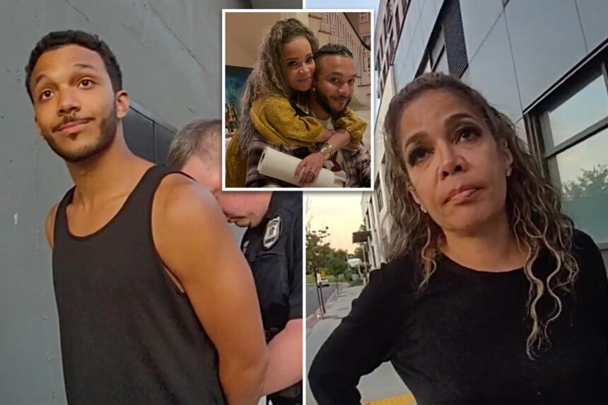 Sunny Hostin tried to talk cops out busting her Harvard-educated son for trespassing on Metro-North tracks: ‘He has no criminal record’