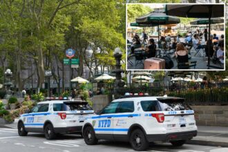 NYC homeless man hurls cell phone at baby in stroller during Bryant Park horror attack: cops