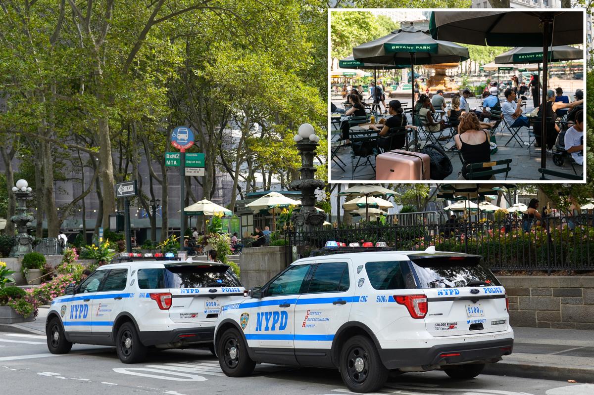 NYC homeless man hurls cell phone at baby in stroller during Bryant Park horror attack: cops