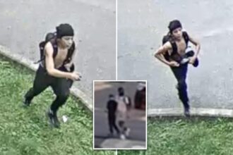 Second heartless crook wanted for robbing Boston children’s lemonade stand pictured by cops