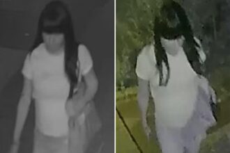 Police searching for creep who raped boy, 15, in back of NYC home